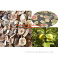 Dried and natural guava fruit slice